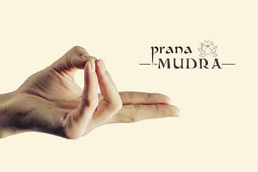  prana mudra hands=
